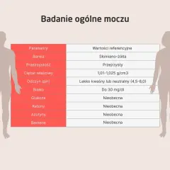 Ogólne badanie moczu a wczesna ciąża: Czy coś zdradzi?