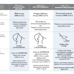 Badanie PCR: Co to jest i dlaczego to złoty standard diagnostyki?