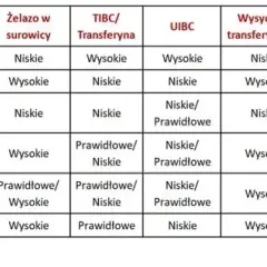 Twoje wyniki żelaza: co oznaczają Fe, ferrytyna i TIBC?