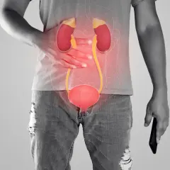 Anatomia układu moczowego z zaznaczonym bólem w okolicy nerek i pęcherza.