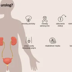 Urolog czy nefrolog? Kiedy do kogo z chorobą nerek?