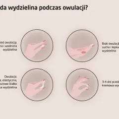 Karmienie piersią a płodność: Czy owulacja zaskoczy Cię przed okresem?