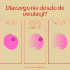 Owulacja wyklucza ciążę? Zrozum, jak działają Twoje hormony!
