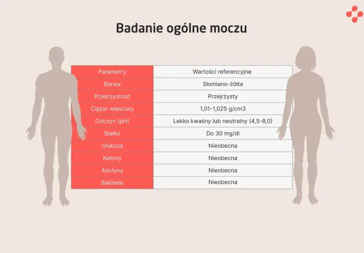 Ogólne badanie moczu a wczesna ciąża: Czy coś zdradzi?