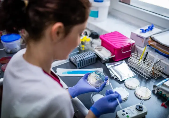 Co robi laboratorium mikrobiologiczne? Niewidzialni strażnicy zdrowia