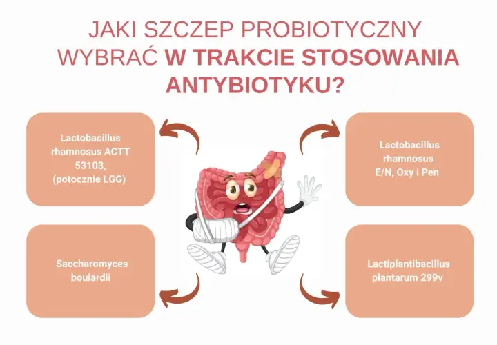 Zranione jelita potrzebują wsparcia! Wybierz odpowiedni probiotyk dla dzieci, by odbudować florę bakteryjną.