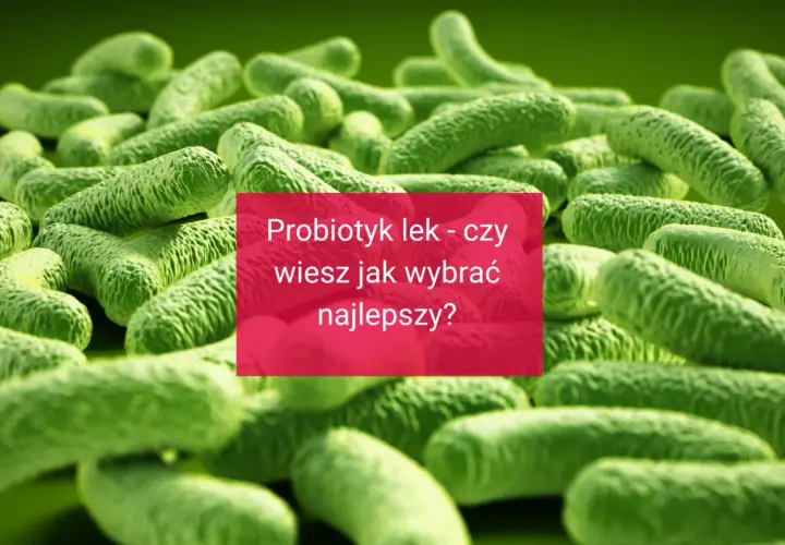 Probiotyk lek - czy wiesz jak wybrać najlepszy? Obraz przedstawia bakterie probiotyczne.