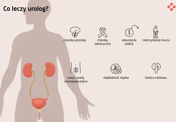 Urolog czy nefrolog? Kiedy do kogo z chorobą nerek?