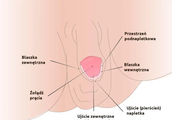 Urolog dziecięcy: Zrozum objawy. Kiedy iść i jak pomóc dziecku?