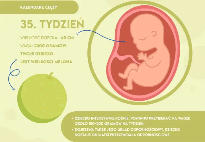 35. tydzień ciąży: Ósmy czy dziewiąty? Sprawdź, co czeka Ciebie i malucha