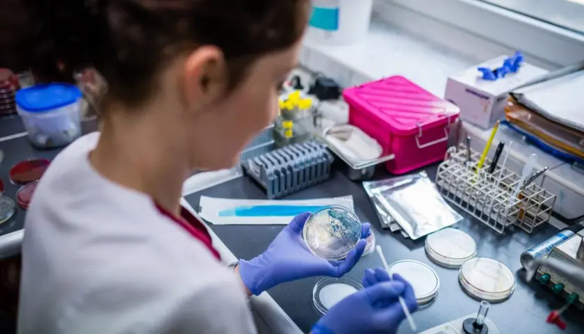 Co robi laboratorium mikrobiologiczne? Niewidzialni strażnicy zdrowia