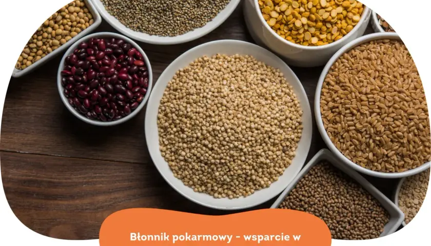 Miseczki pełne ziaren: fasola, soczewica, pszenica, proso, soja. W czym jest błonnik? W tych zdrowych produktach!
