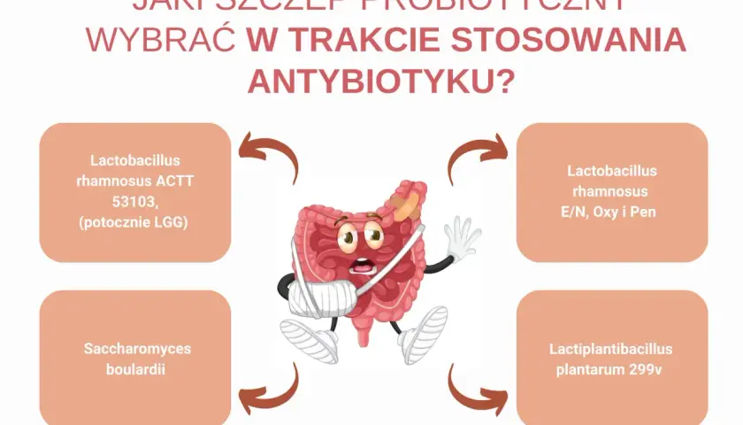 Zranione jelita potrzebują wsparcia! Wybierz odpowiedni probiotyk dla dzieci, by odbudować florę bakteryjną.