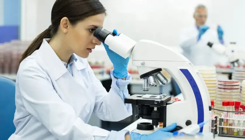 Analityka medyczna: Jak zostać diagnostą laboratoryjnym w Polsce?