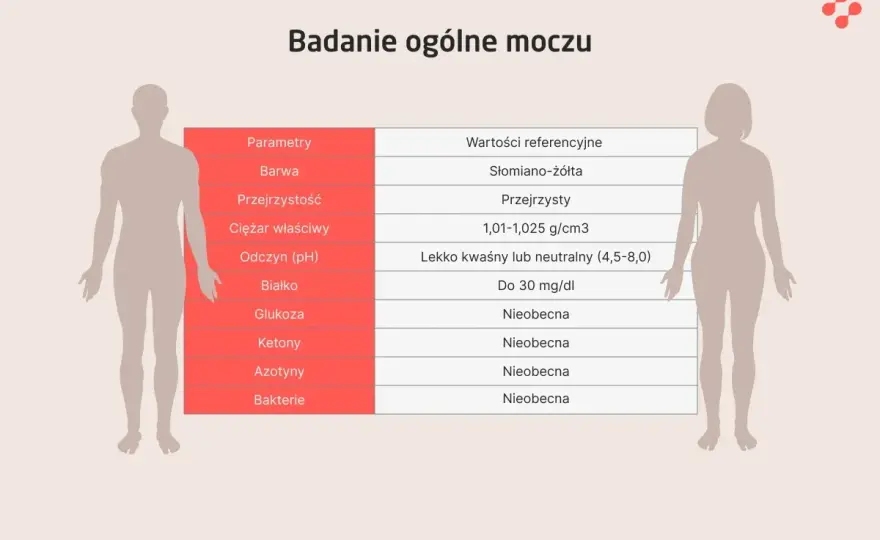 Ogólne badanie moczu a wczesna ciąża: Czy coś zdradzi?