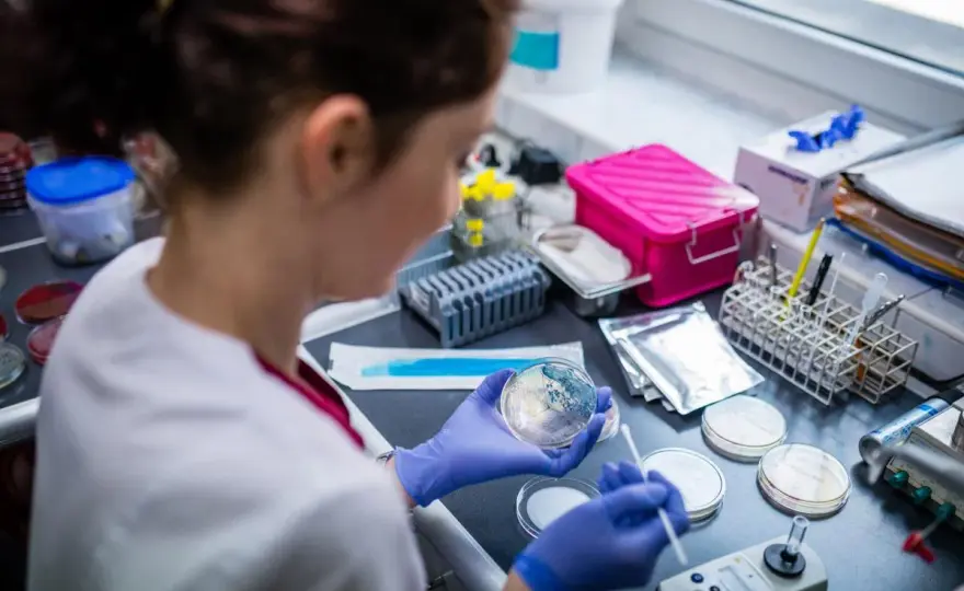 Co robi laboratorium mikrobiologiczne? Niewidzialni strażnicy zdrowia