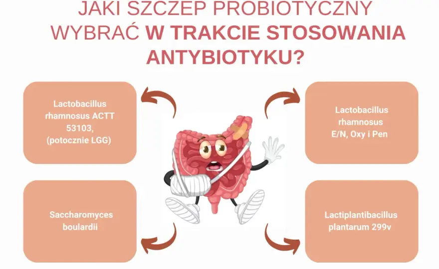 Probiotyk dla dzieci - Jaki wybrać i kiedy ma sens?