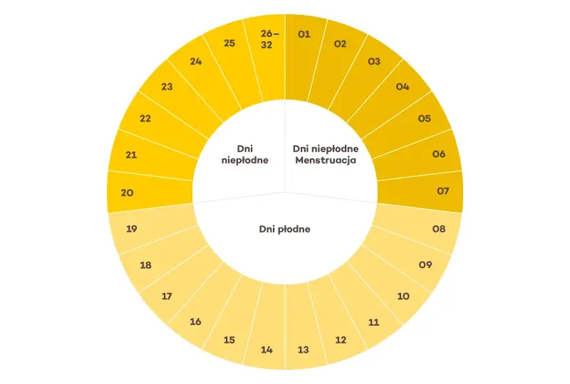 Jak obliczyć datę miesiączki? Zrozum swój cykl i planuj z łatwością