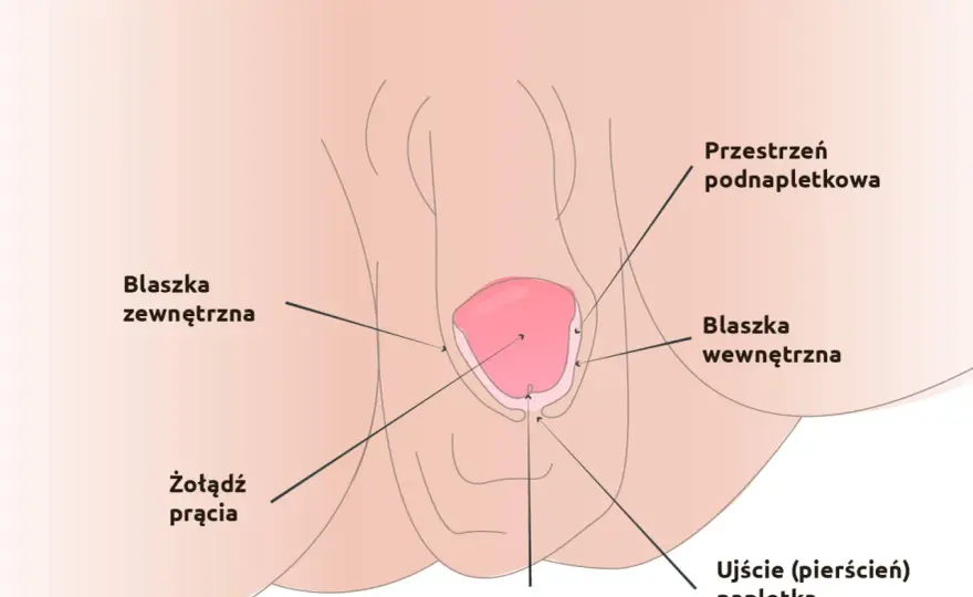 Urolog dziecięcy: Zrozum objawy. Kiedy iść i jak pomóc dziecku?