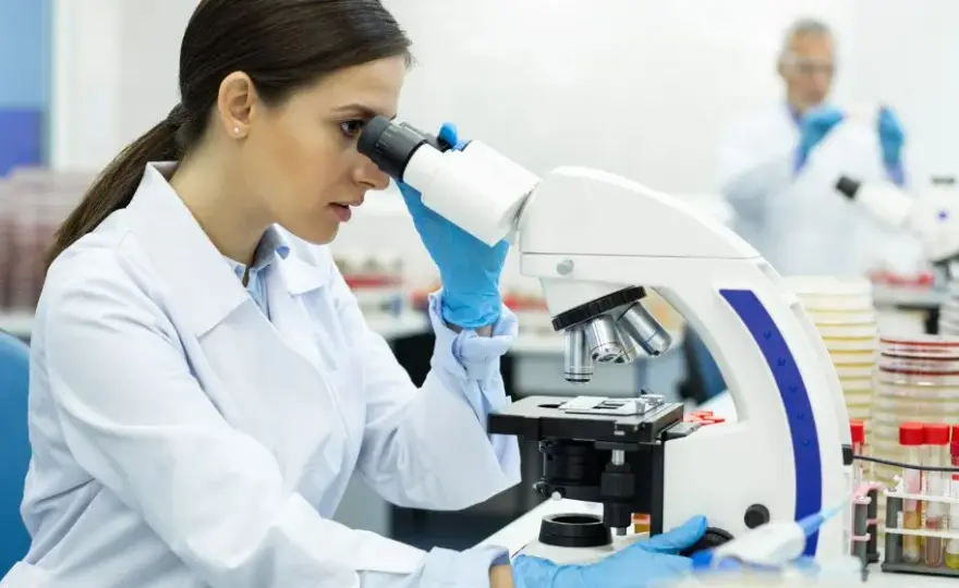 Analityka medyczna: Jak zostać diagnostą laboratoryjnym w Polsce?