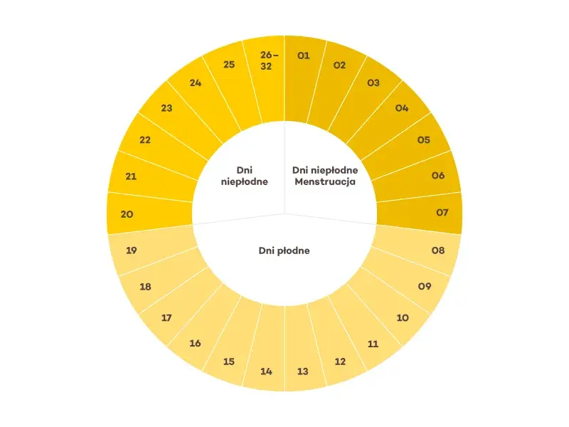 Jak obliczyć datę miesiączki? Zrozum swój cykl i planuj z łatwością