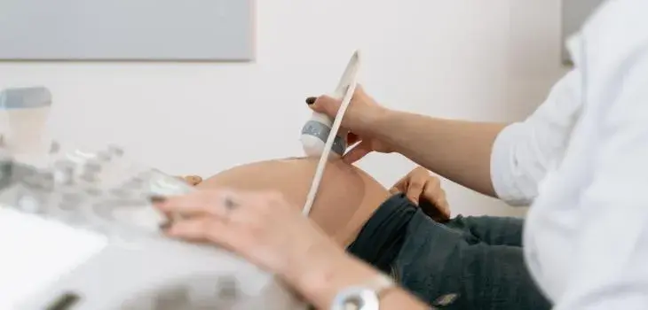 L4 w ciąży a studia: Kiedy ZUS może zabrać zasiłek?