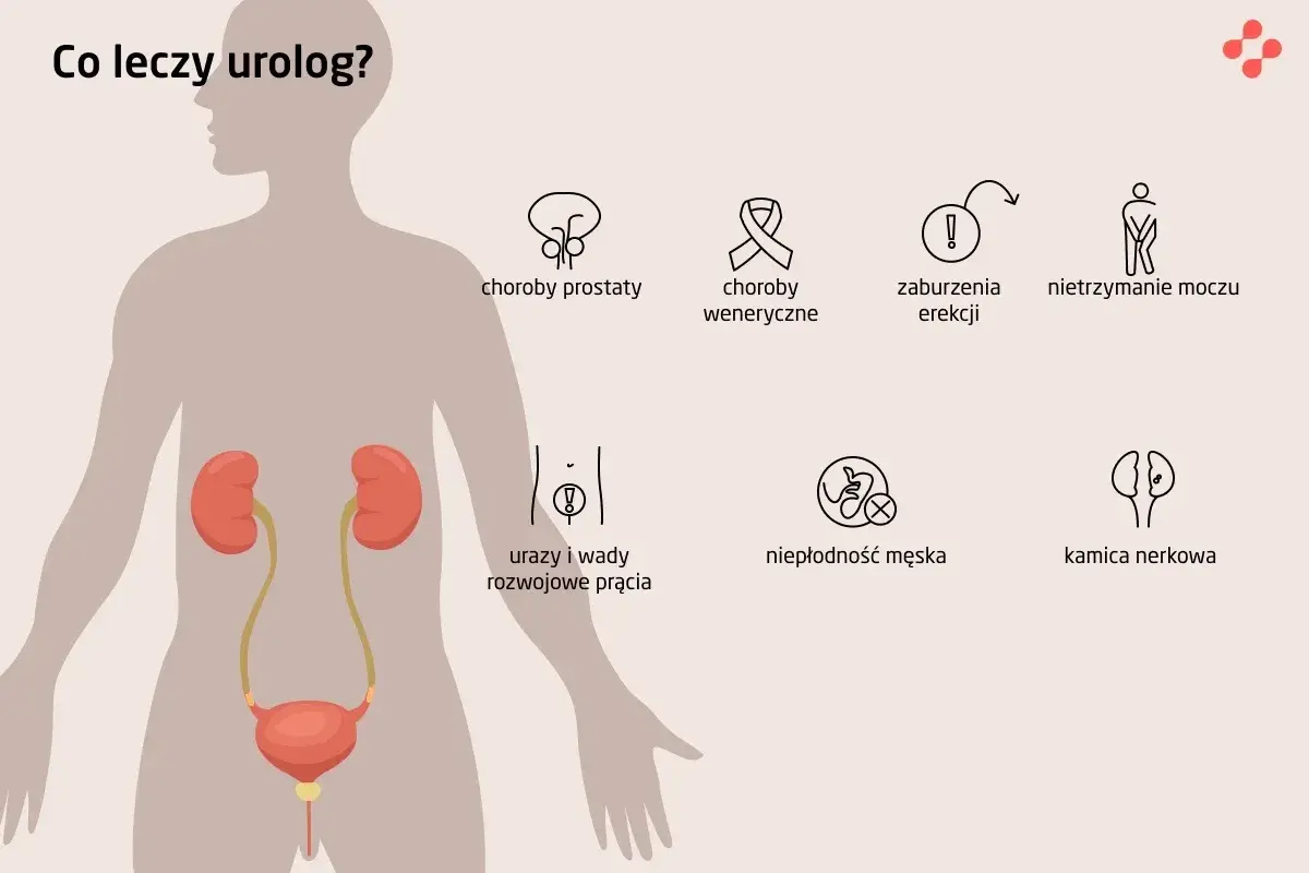 Urolog czy nefrolog? Kiedy do kogo z chorobą nerek?