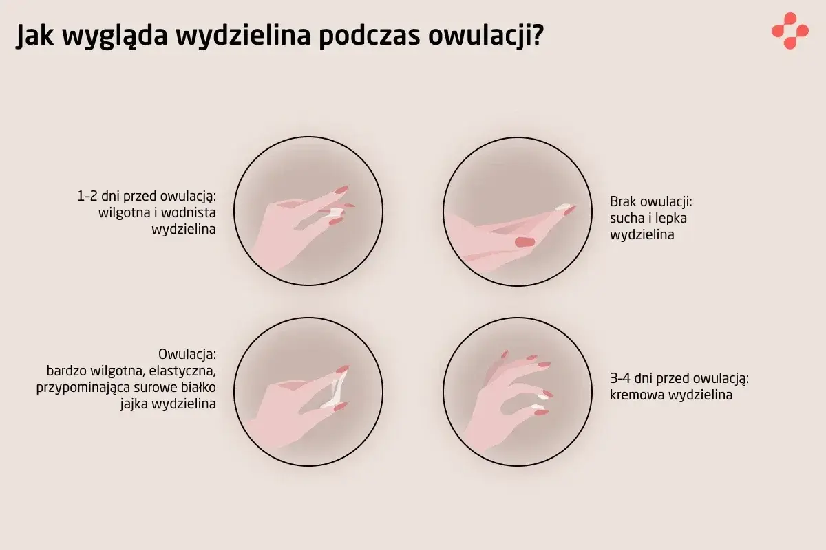 Karmienie piersią a płodność: Czy owulacja zaskoczy Cię przed okresem?