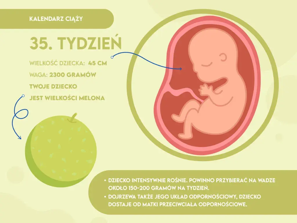 35. tydzień ciąży: Ósmy czy dziewiąty? Sprawdź, co czeka Ciebie i malucha