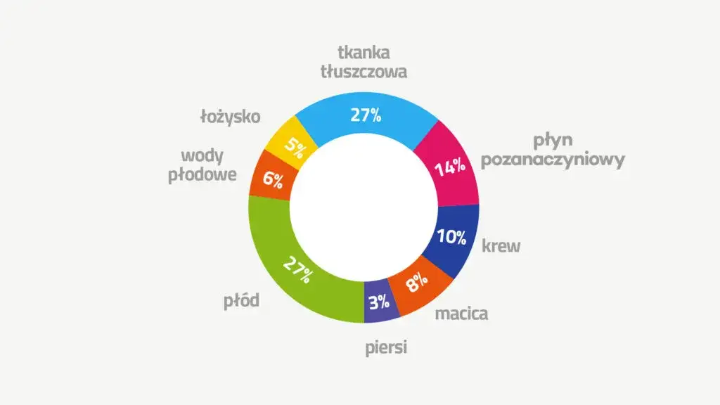 składniki przyrostu wagi w ciąży infografika
