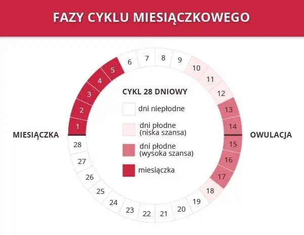 Kobieta licząca dni w kalendarzu, cykl menstruacyjny