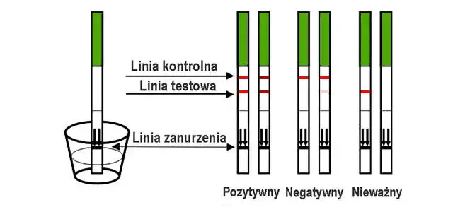 testy owulacyjne LH porównanie wyników