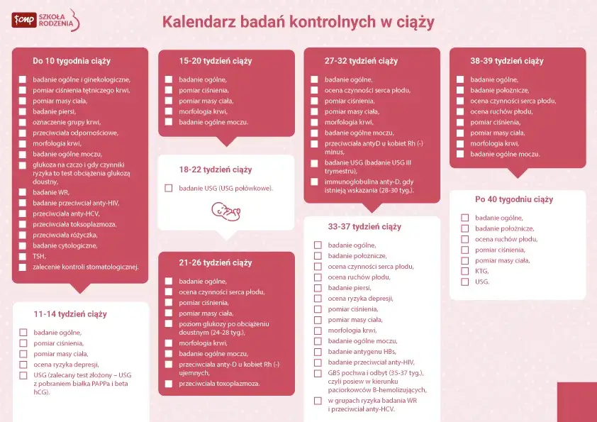 harmonogram wizyt ginekologicznych w ciąży infografika